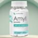 Amyl Guard Review