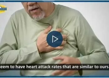 Discover the Powerful Ingredients Behind VenoPlus 8 for Better Heart Health